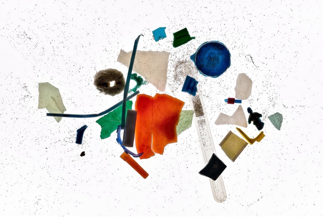 APPARENTEMENTE - Corso laboratorio per docenti