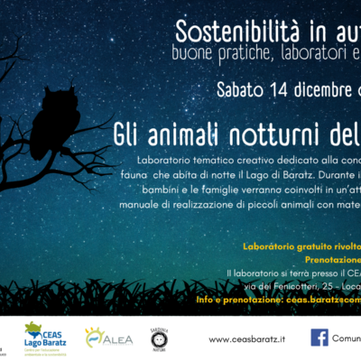 Gli animali notturni del lago_Locandina