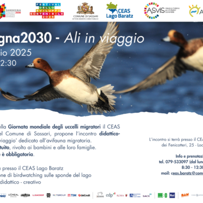 Locandina attività Ali in viaggio - 10 Maggio