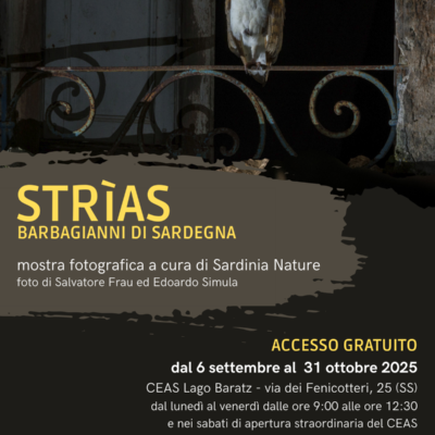 Locandina_mostra proroga