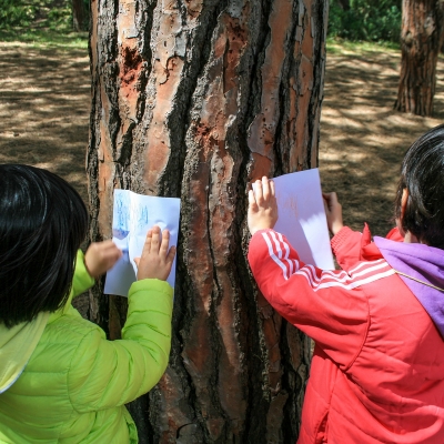 Attività didattica al CEAS Lago Baratz