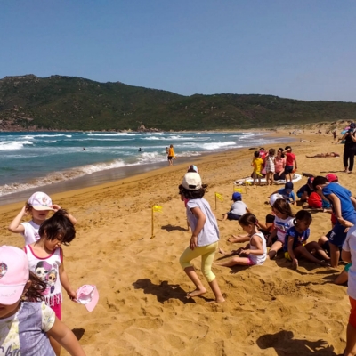 Esploriamo la spiaggia