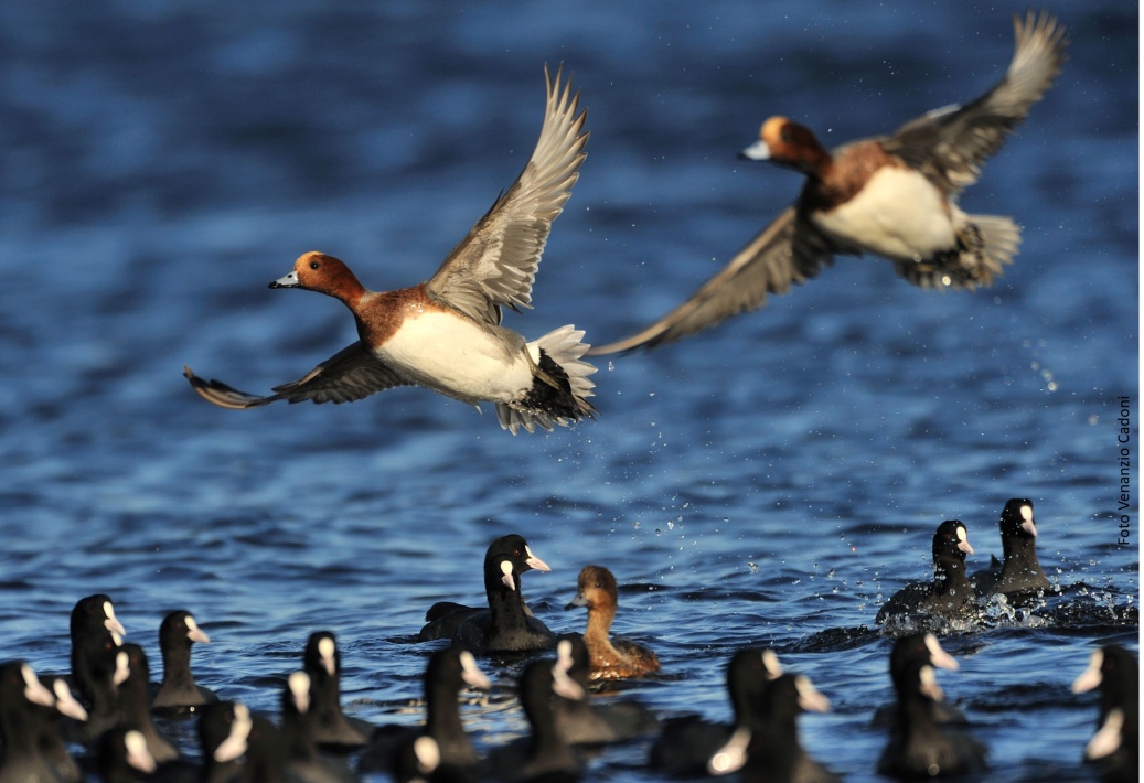 Sardegna2030 - ALI IN VIAGGIO