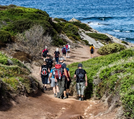 Visualizza la notizia: Visite