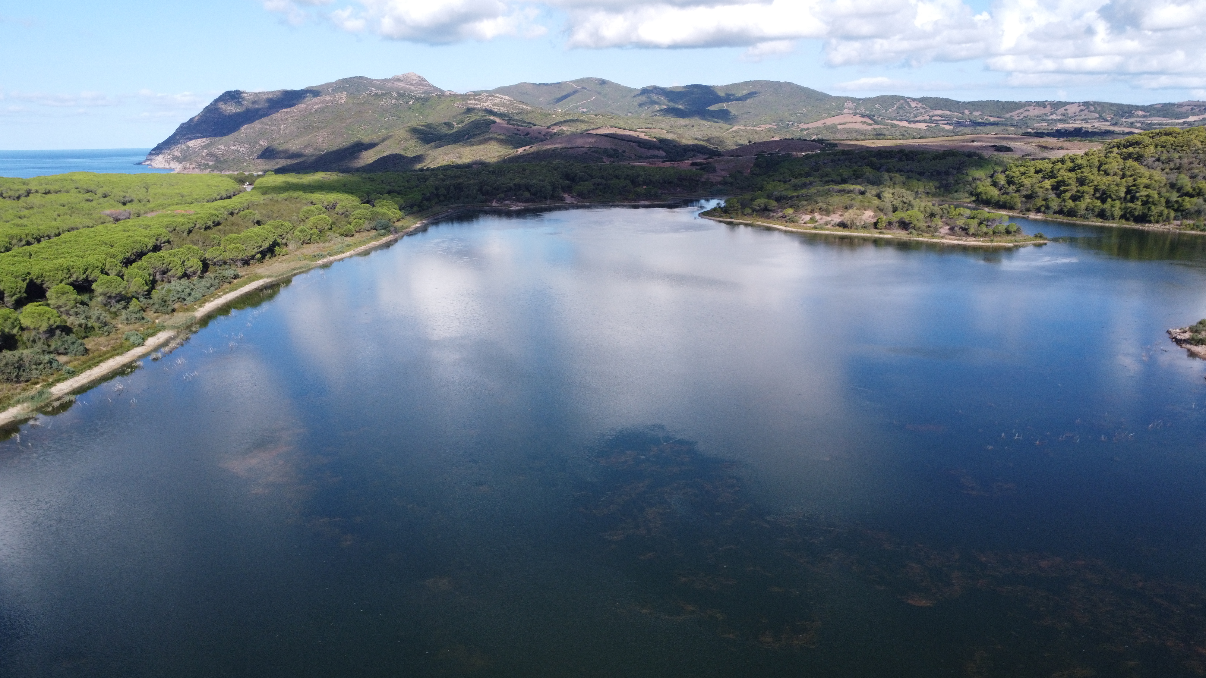 Visualizza la notizia: World Wetlands Day Sardegna 2026 – zone umide e tradizioni, un patrimonio vivo da raccontare