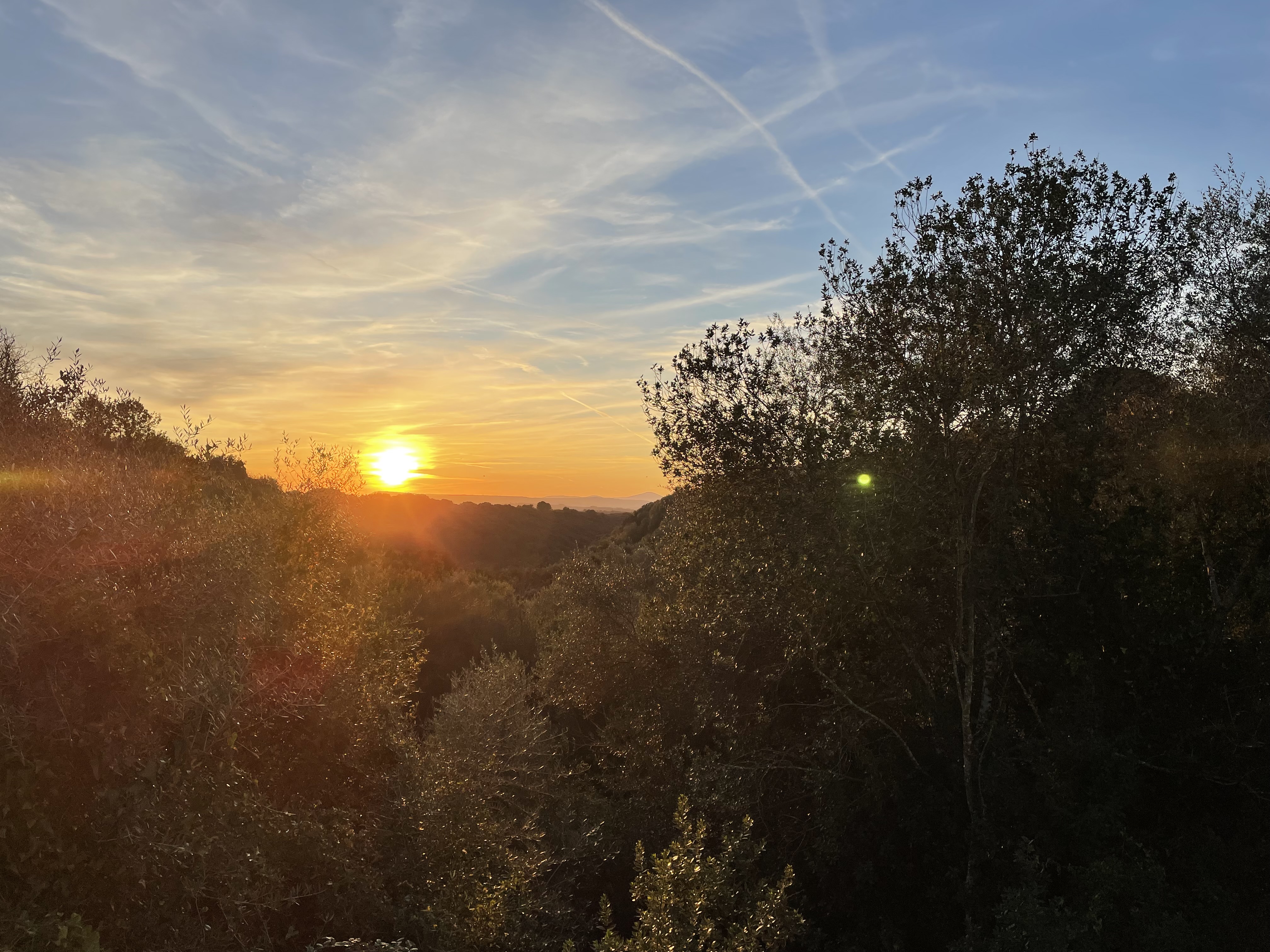Visualizza la notizia: Suoni dopo il tramonto