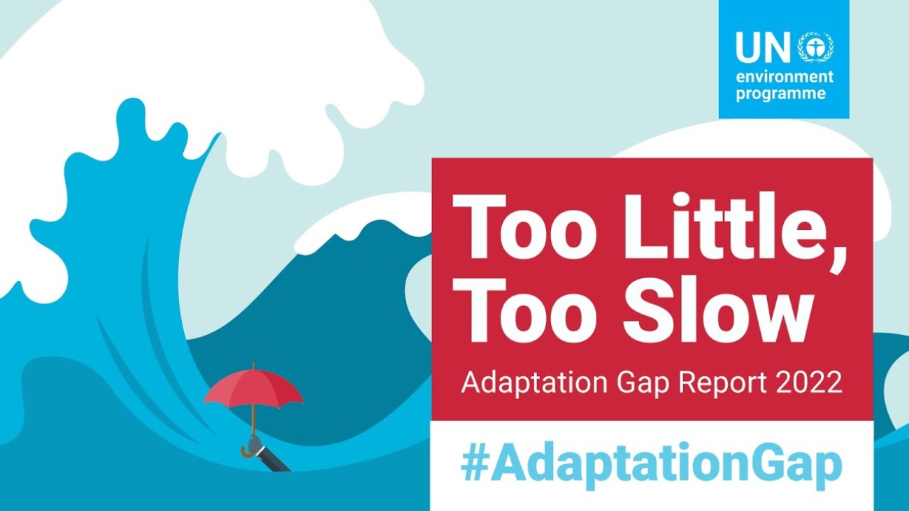 “Too little, too slow" - Troppo poco, troppo lento