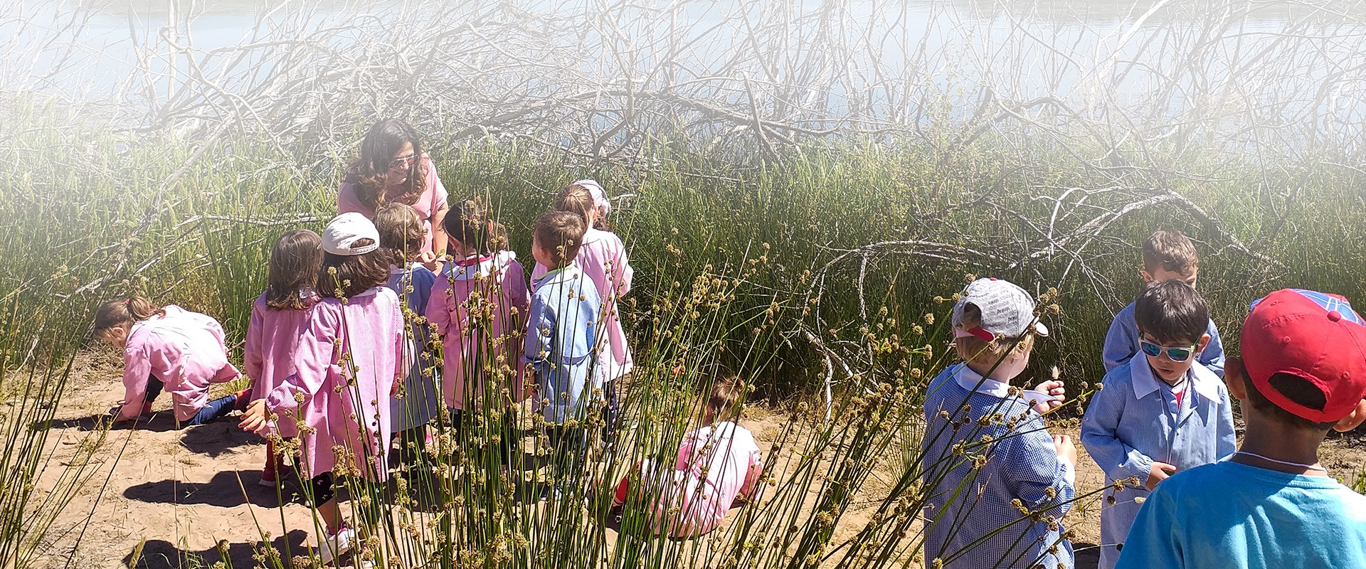 Attività didattica al lago Baratz (???sito.dettaglio.copyright???Archivio fotografico CEAS Baratz)