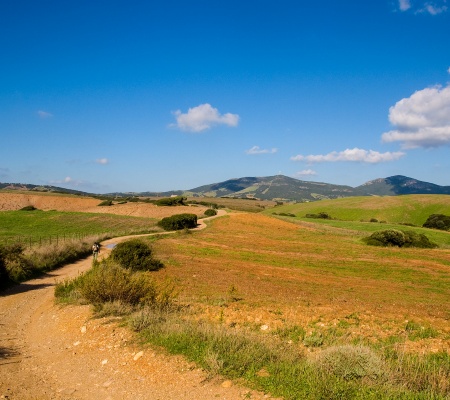 Visualizza la notizia: Itinerari