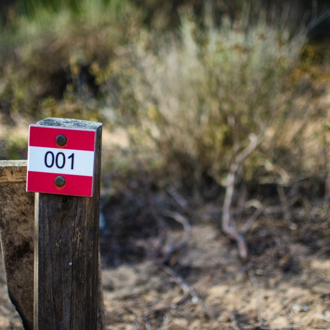 Segnavia lungo il percorso
