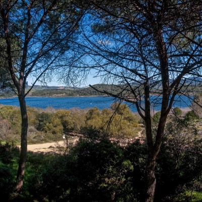 Scorcio del lago Baratz dalla pineta