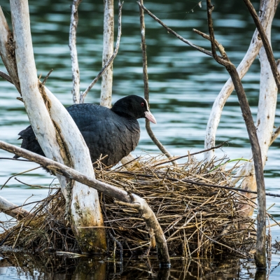 Il Lago di Baratz e la sua origine