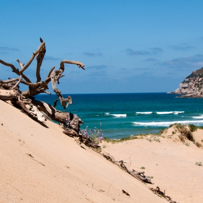 Dune di Porto Ferro