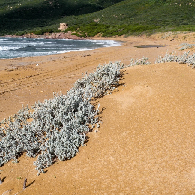 Arenile di Porto Ferro